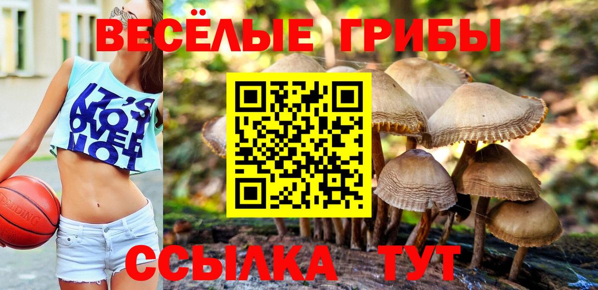 Ипатово  Галлюциногенные грибы GOLDEN TEACHER  Псилоцибиновые грибы Magic Shrooms  Вход с VPN 